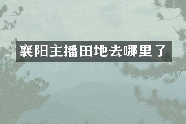 襄阳主播田地去哪里了
