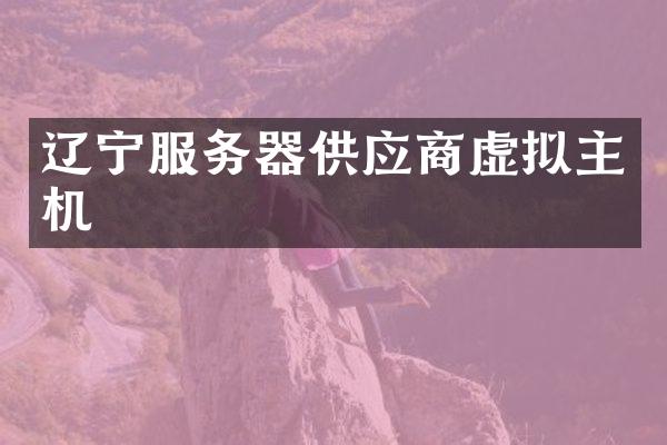 辽宁服务器供应商虚拟主机