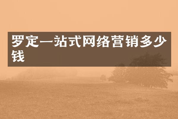 罗定一站式网络营销多少钱