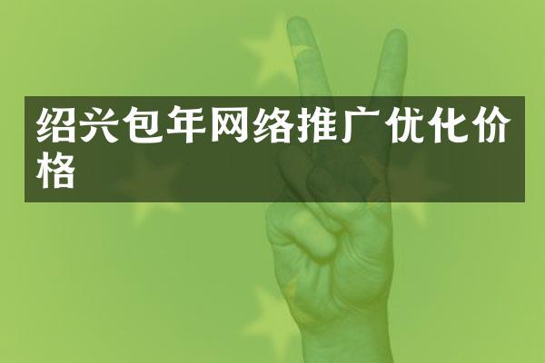 绍兴包年网络推广优化价格