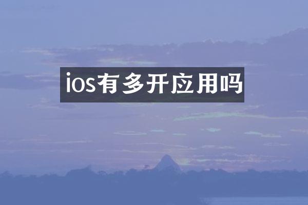 ios有多开应用吗