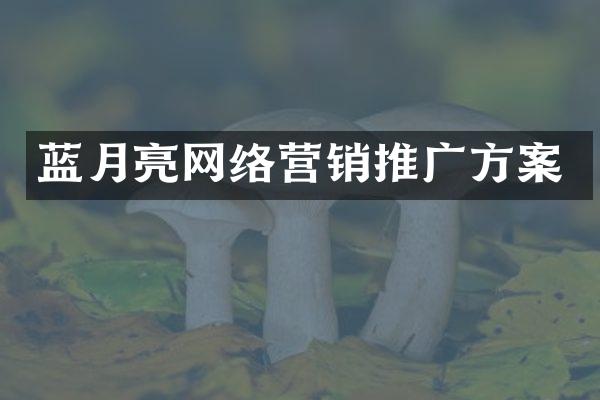 蓝月亮网络营销推广方案