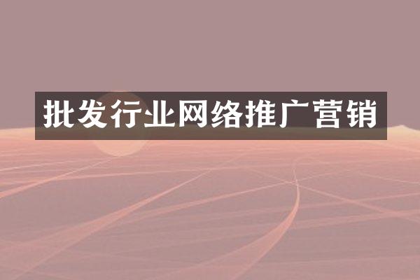 批发行业网络推广营销