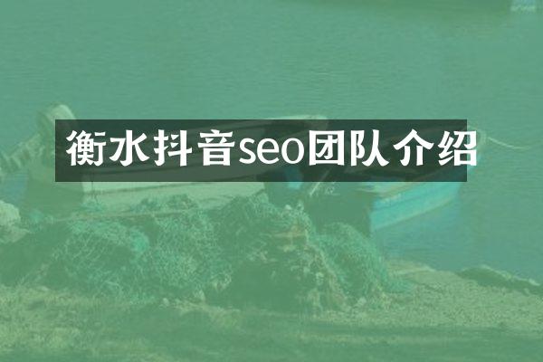 衡水抖音seo团队介绍