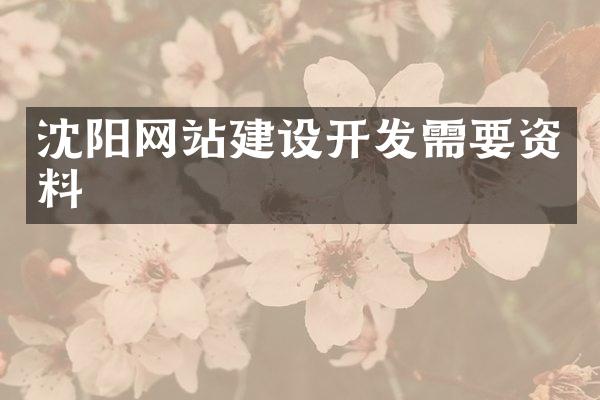 沈阳网站建设开发需要资料