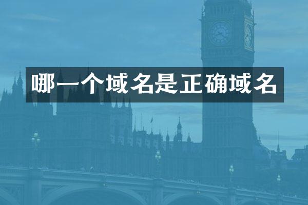 哪一个域名是正确域名