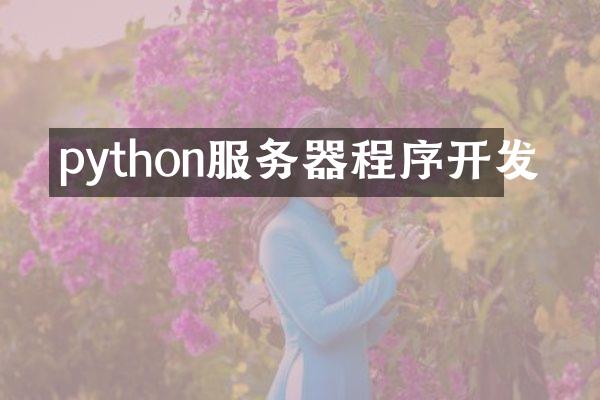 python服务器程序开发