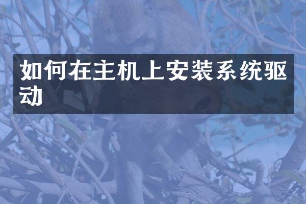 如何在主机上安装系统驱动
