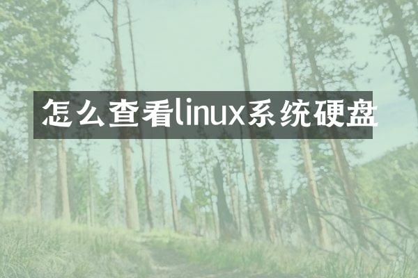 怎么查看linux系统硬盘