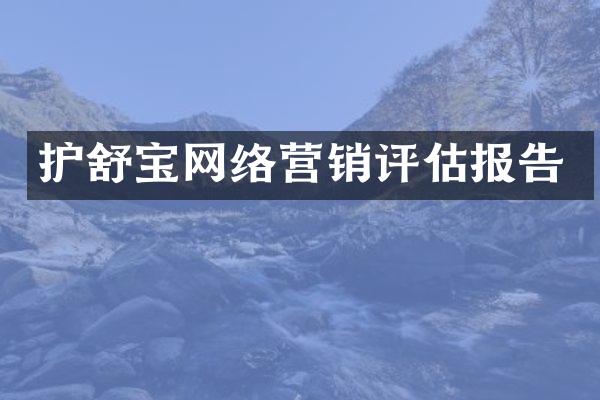 护舒宝网络营销评估报告