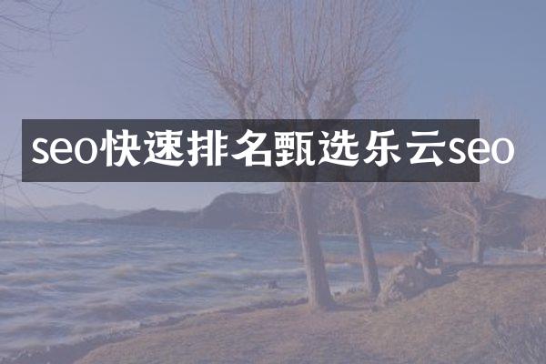 seo快速排名甄选乐云seo