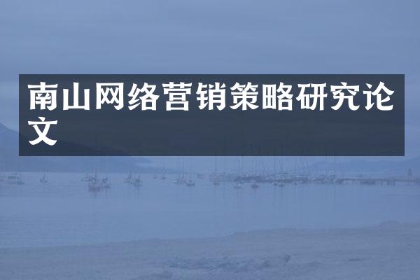 南山网络营销策略研究论文