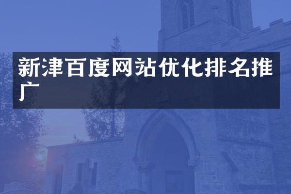 新津百度网站优化排名推广