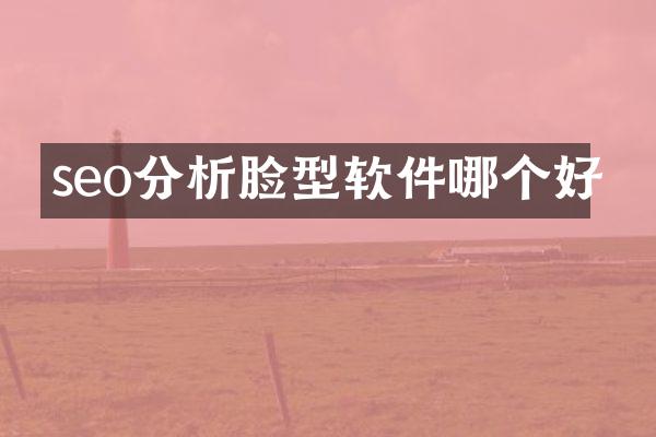 seo分析脸型软件哪个好
