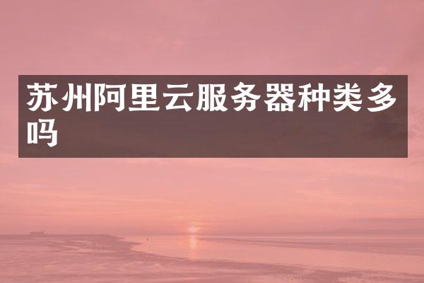 苏州阿里云服务器种类多吗