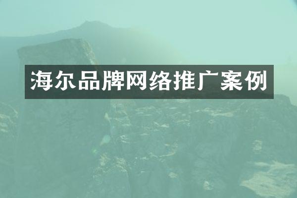 海尔品牌网络推广案例