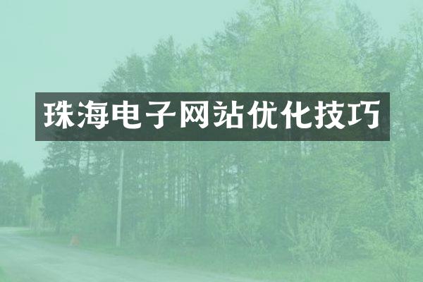珠海电子网站优化技巧