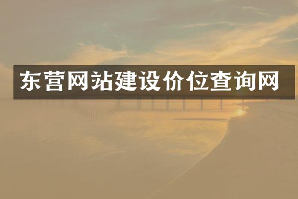 东营网站建设价位查询网
