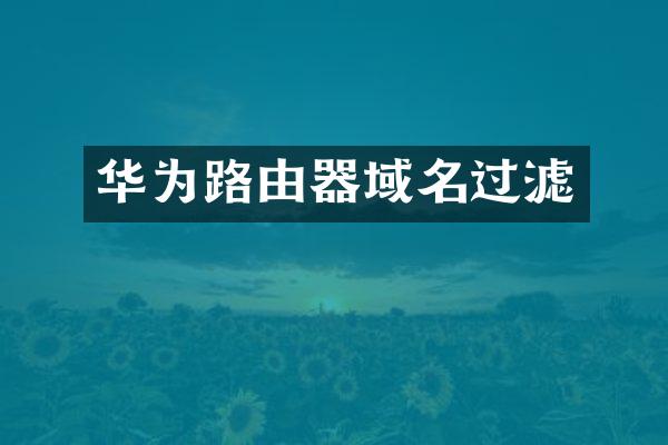 华为路由器域名过滤