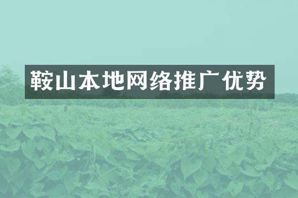 鞍山本地网络推广优势