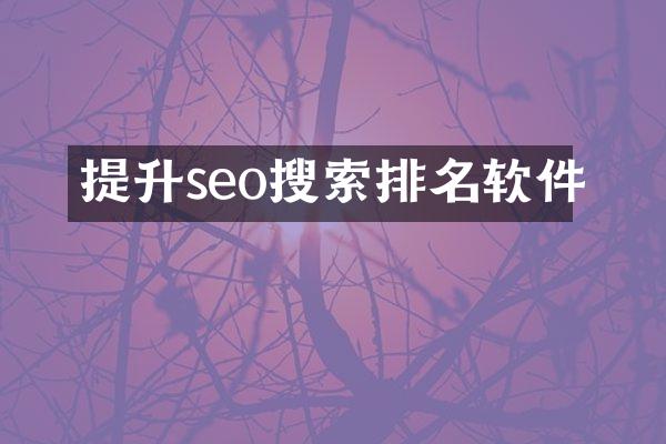 提升seo搜索排名软件