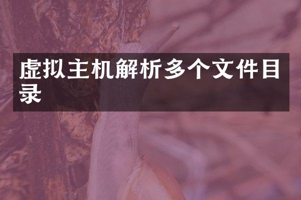 虚拟主机解析多个文件目录