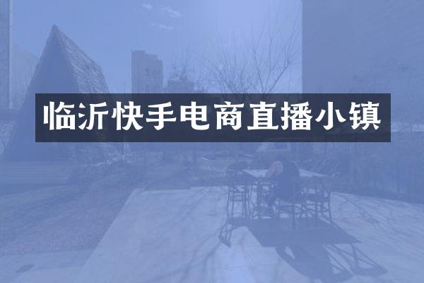 临沂快手电商直播小镇