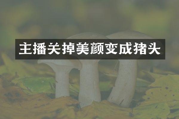 主播关掉美颜变成猪头