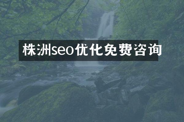 株洲seo优化免费咨询