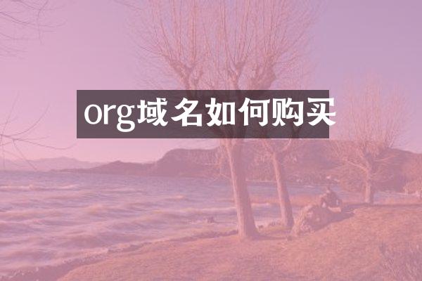 org域名如何购买