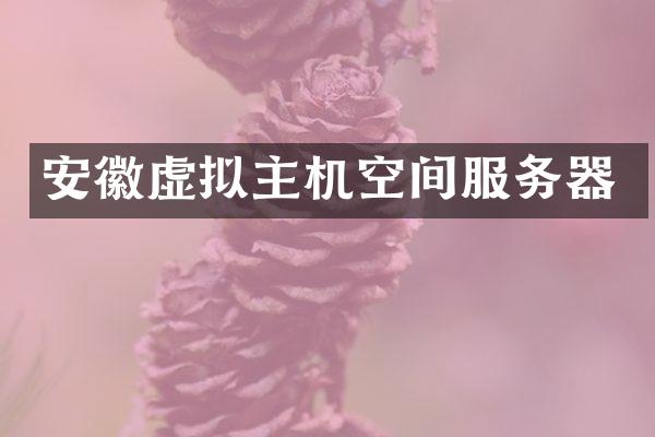 安徽虚拟主机空间服务器