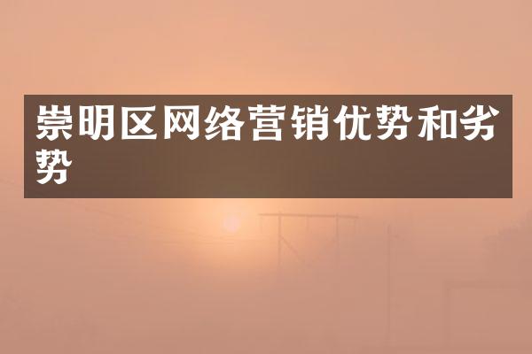 崇明区网络营销优势和劣势