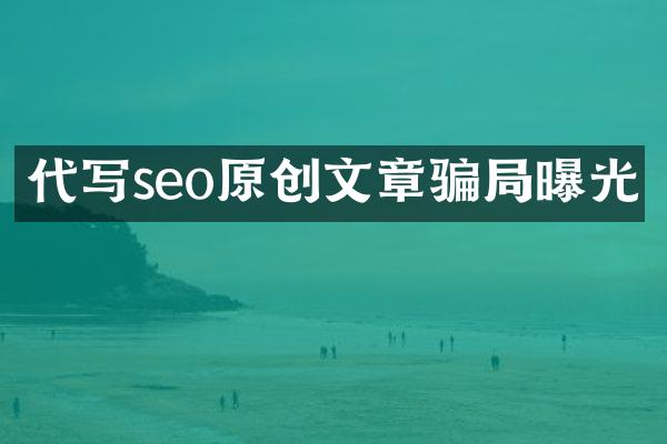 代写seo原创文章骗局曝光