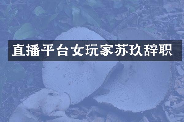 直播平台女玩家苏玖辞职