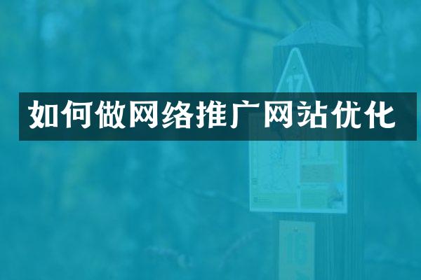 如何做网络推广网站优化