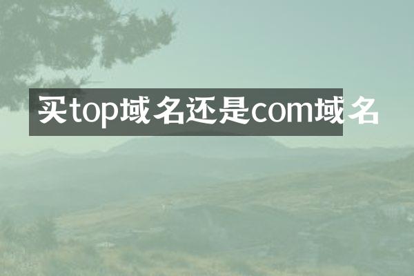 买top域名还是com域名