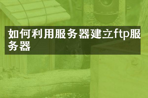 如何利用服务器建立ftp服务器
