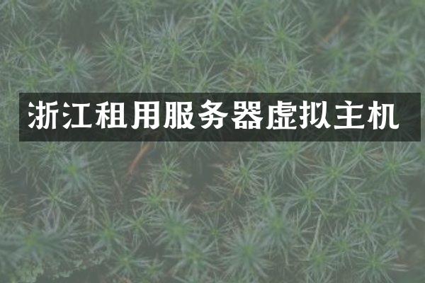 浙江租用服务器虚拟主机