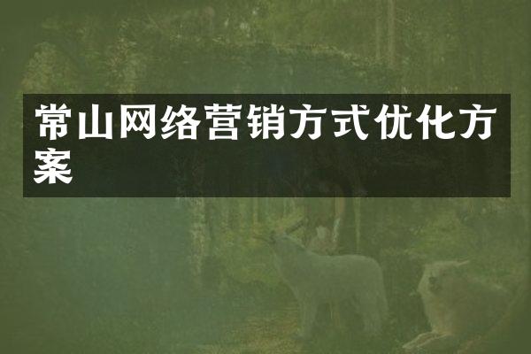 常山网络营销方式优化方案