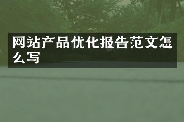 网站产品优化报告范文怎么写