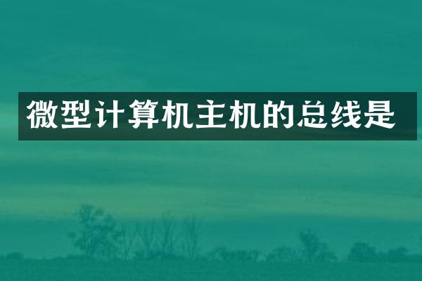 微型计算机主机的总线是