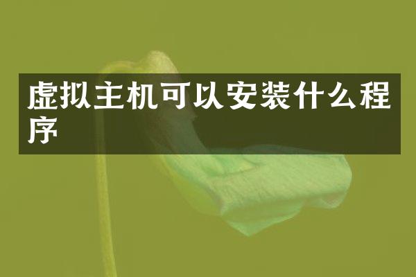 虚拟主机可以安装什么程序