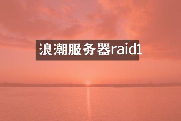 浪潮服务器raid1