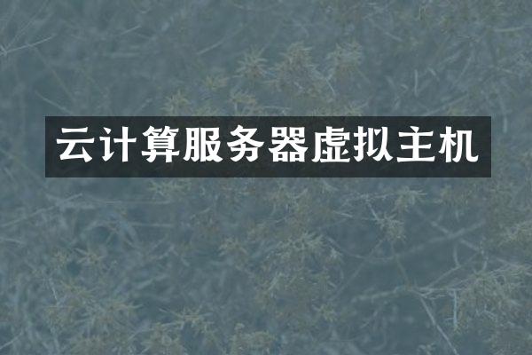 云计算服务器虚拟主机