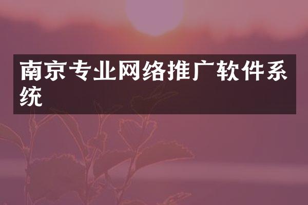 南京专业网络推广软件系统
