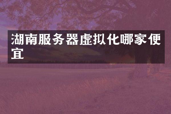 湖南服务器虚拟化哪家便宜