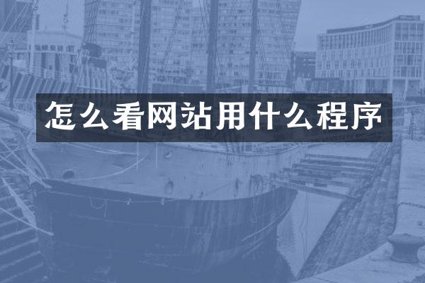 怎么看网站用什么程序