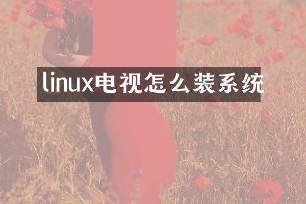 linux电视怎么装系统