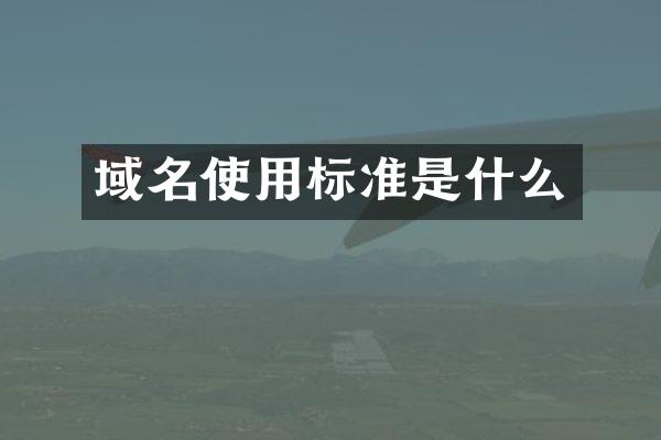 域名使用标准是什么