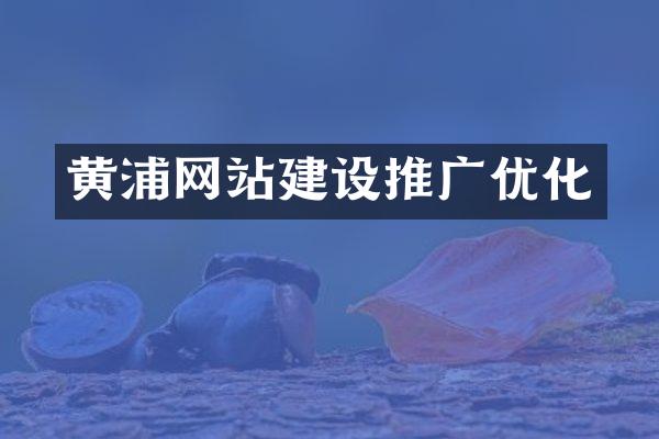 黄浦网站建设推广优化